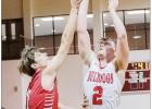 Dogs Down Plainview For Regional Semifinal Win