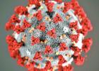 Killer Coronavirus Outbreak Causing Serious Concerns