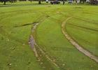 Vandal Causes Extensive Damage To Golf Green