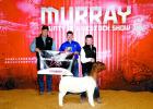 Murray County Junior Livestock Show Set Feb. 21
