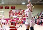 Lady Dogs Make Strong Class 3A Playoff Run
