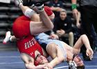 Dogs Make It To Semis At Dual State Meet